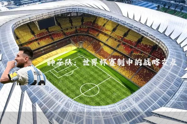 种子队：世界杯赛制中的战略支点